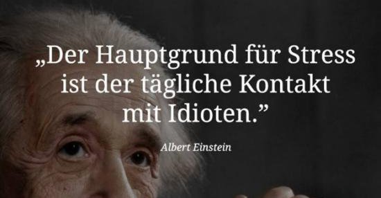 2017 Albert Einstein